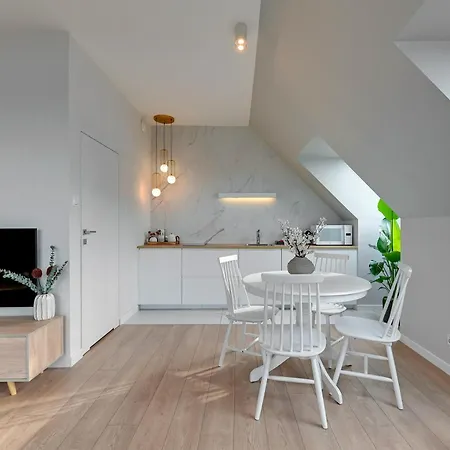 Nowa Motlawa Spa, Pool, Gym & Parking By Downtown Apartments Gdansk Room photo